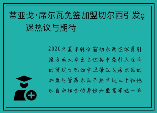 蒂亚戈·席尔瓦免签加盟切尔西引发球迷热议与期待